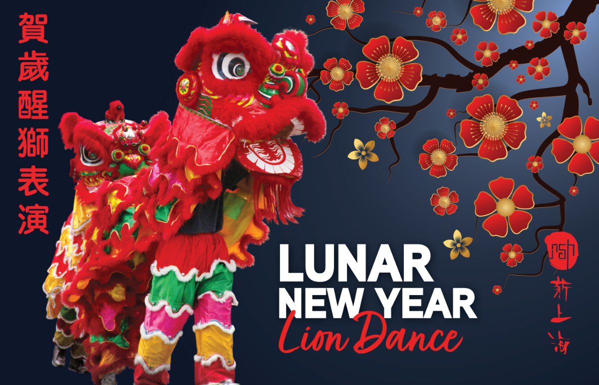 Lunar New Year Lion Dance Performance 